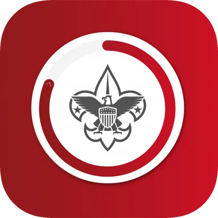My Scout Record